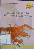 Udang Lobster Air Tawar Mulai Memberikan Keuntungan